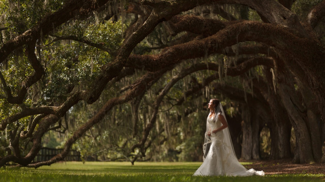 Magnolia Plantation Wedding | Thomas + Chelsey | Charleston, SC
